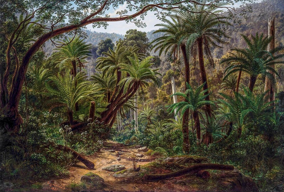 image of Paining: Von Guerard, Ferntree Gully in Dandenong Ranges